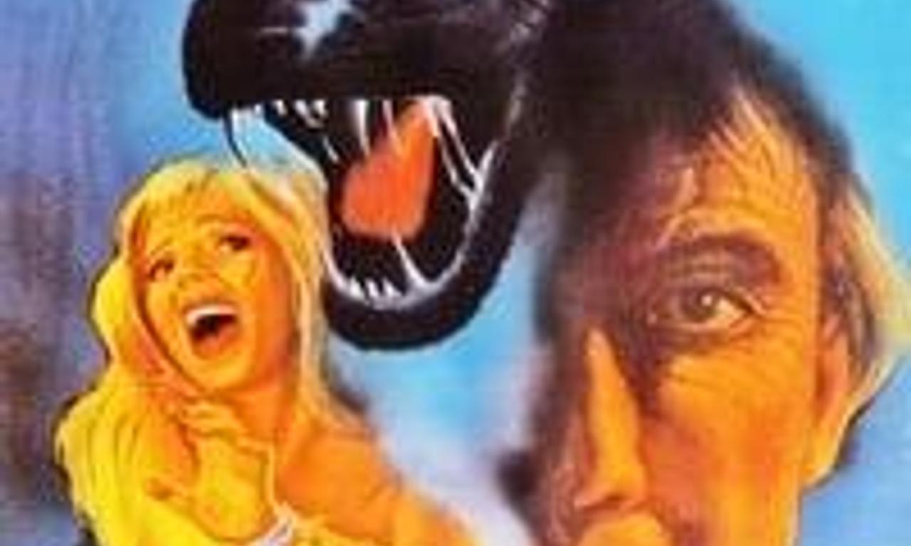 header image for The Black Panther