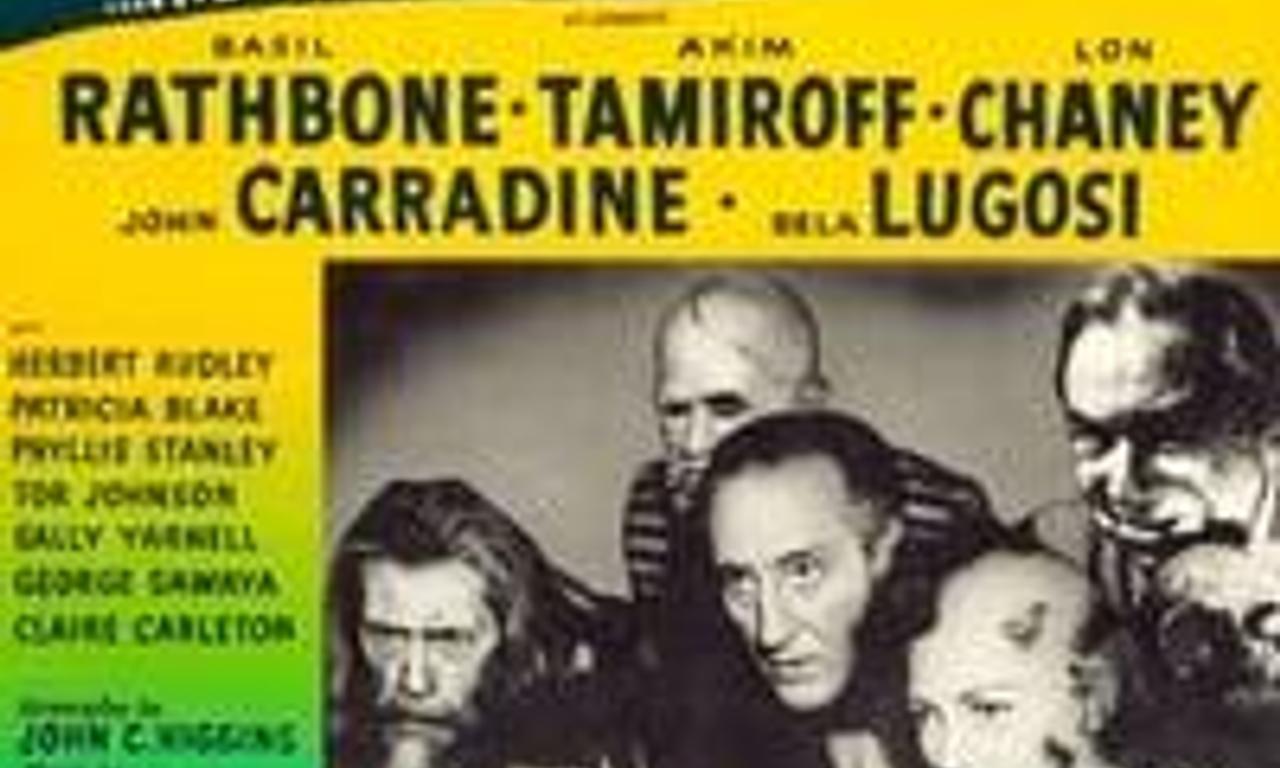 header image for The Black Sleep