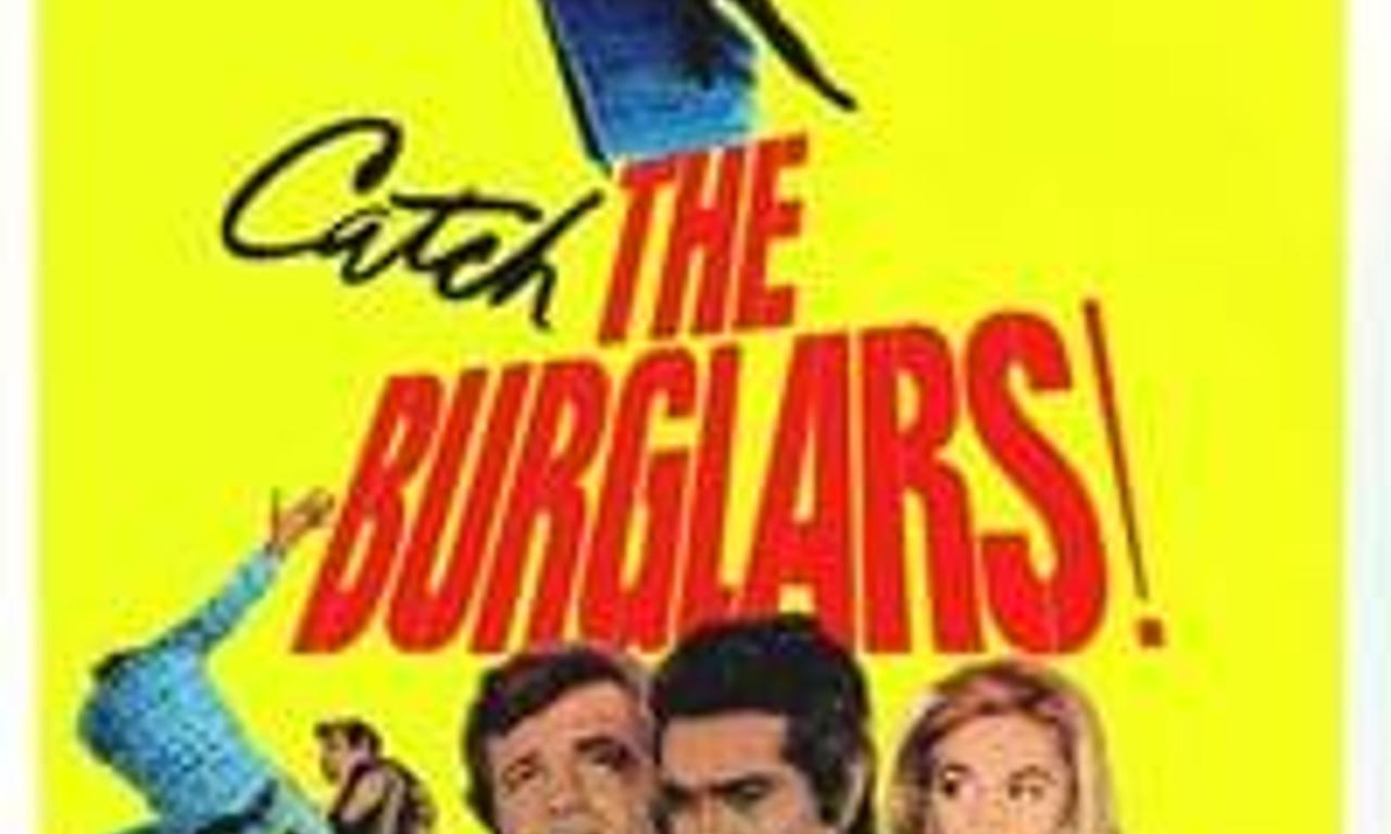 header image for The Burglars
