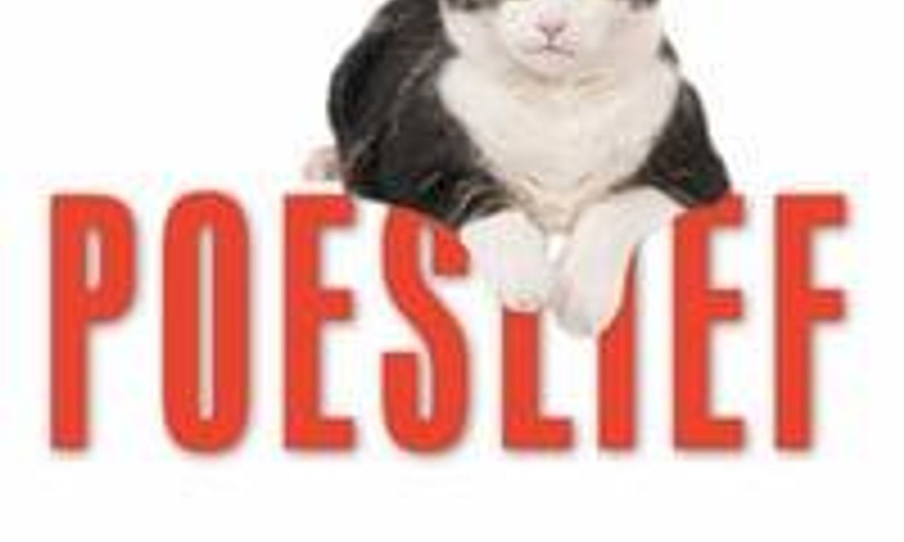 header image for Kitty Love: An Homage to Cats