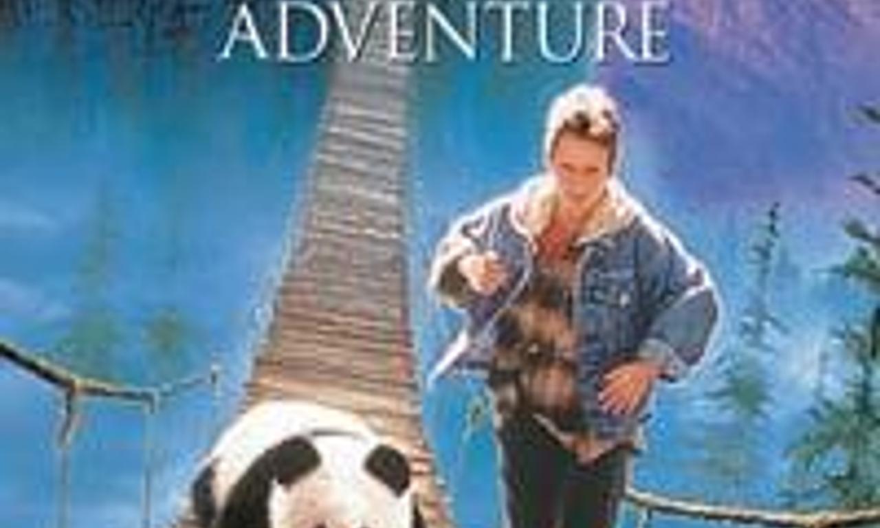 header image for The Amazing Panda Adventure