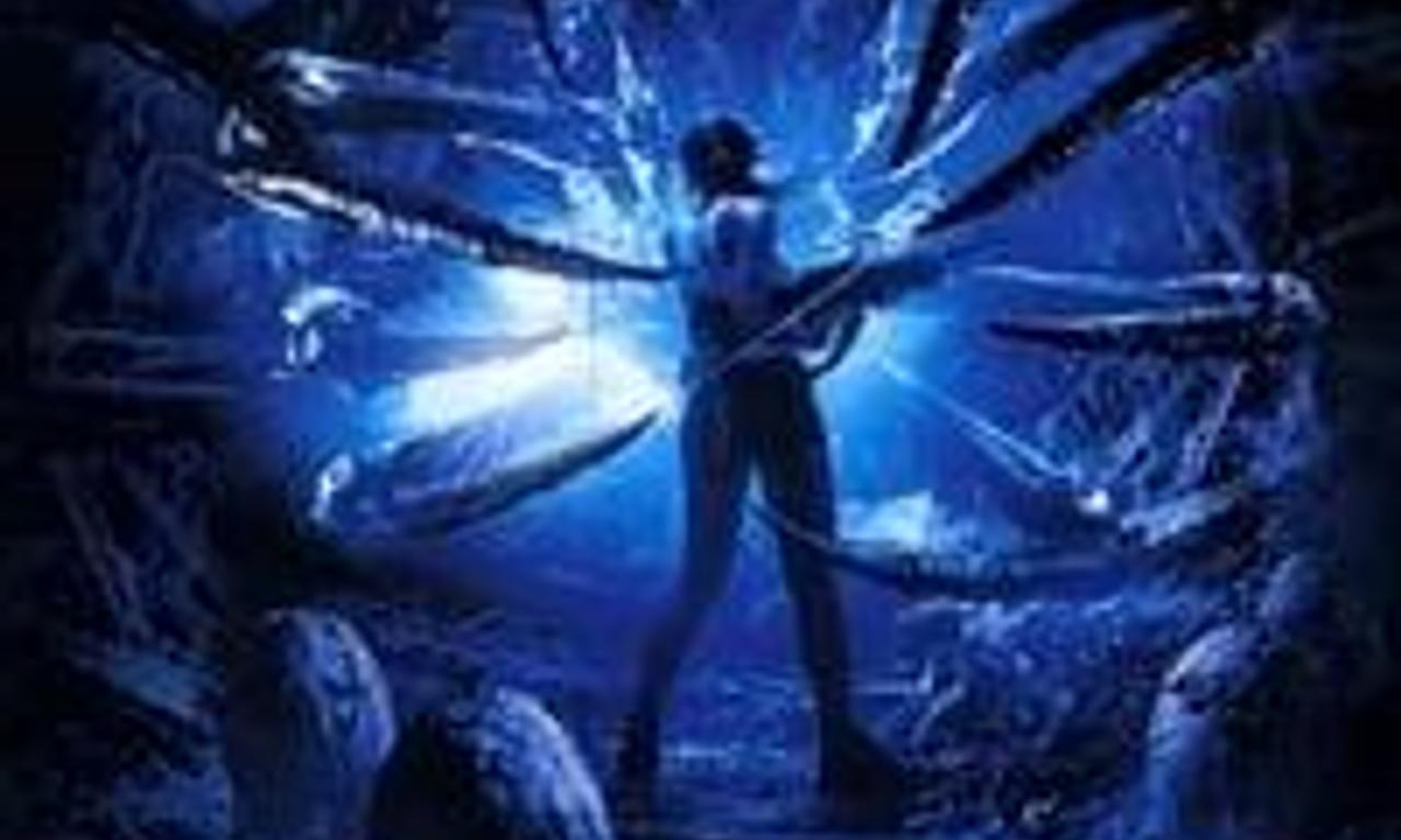 header image for Arachnid