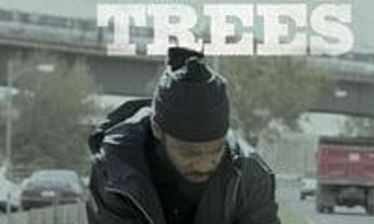 header image for City of Trees