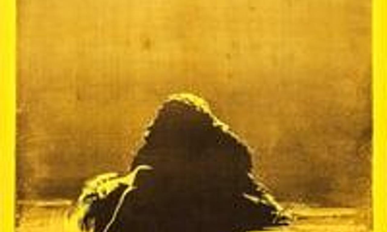 header image for Monstroid