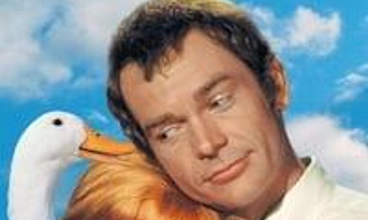 header image for The Million Dollar Duck