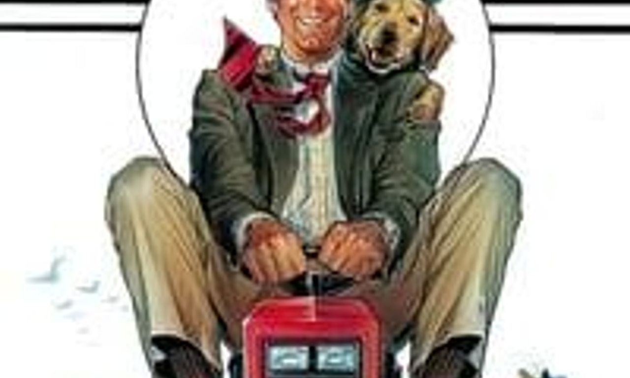 header image for Funny Farm