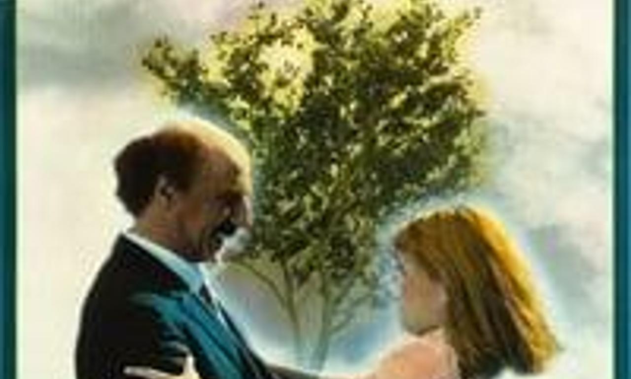 header image for Tinamer