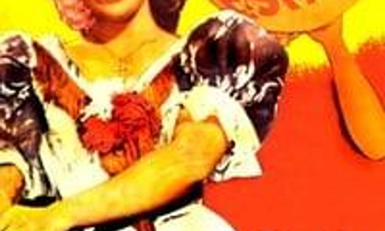 header image for Una cubana en España