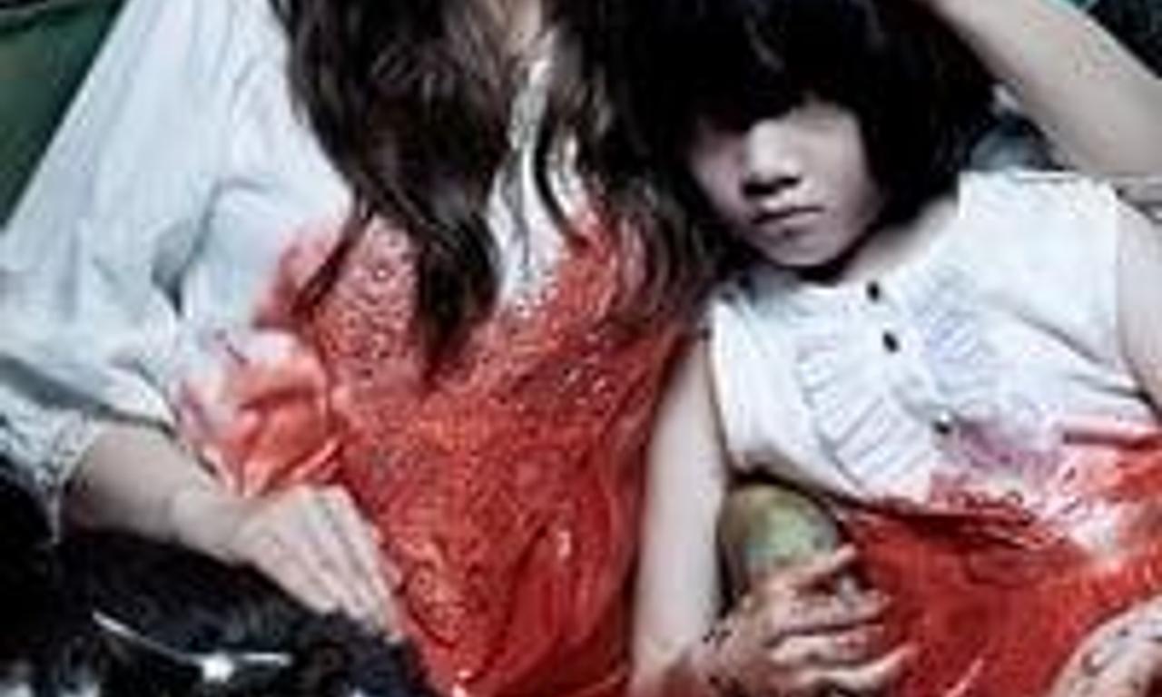 header image for The Cat