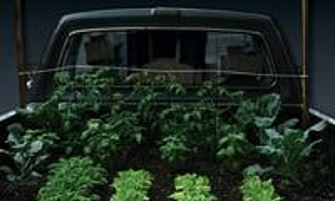 header image for Truck Farm
