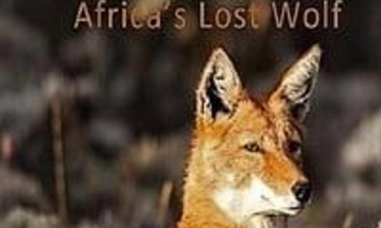 header image for Megeti - Africa's Lost Wolf