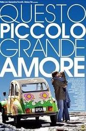 Questo piccolo grande amore