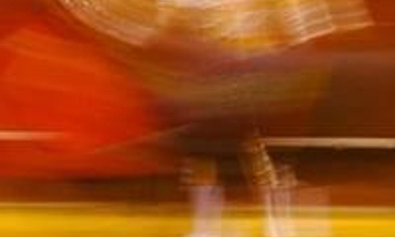 header image for The Apizaco Shaman