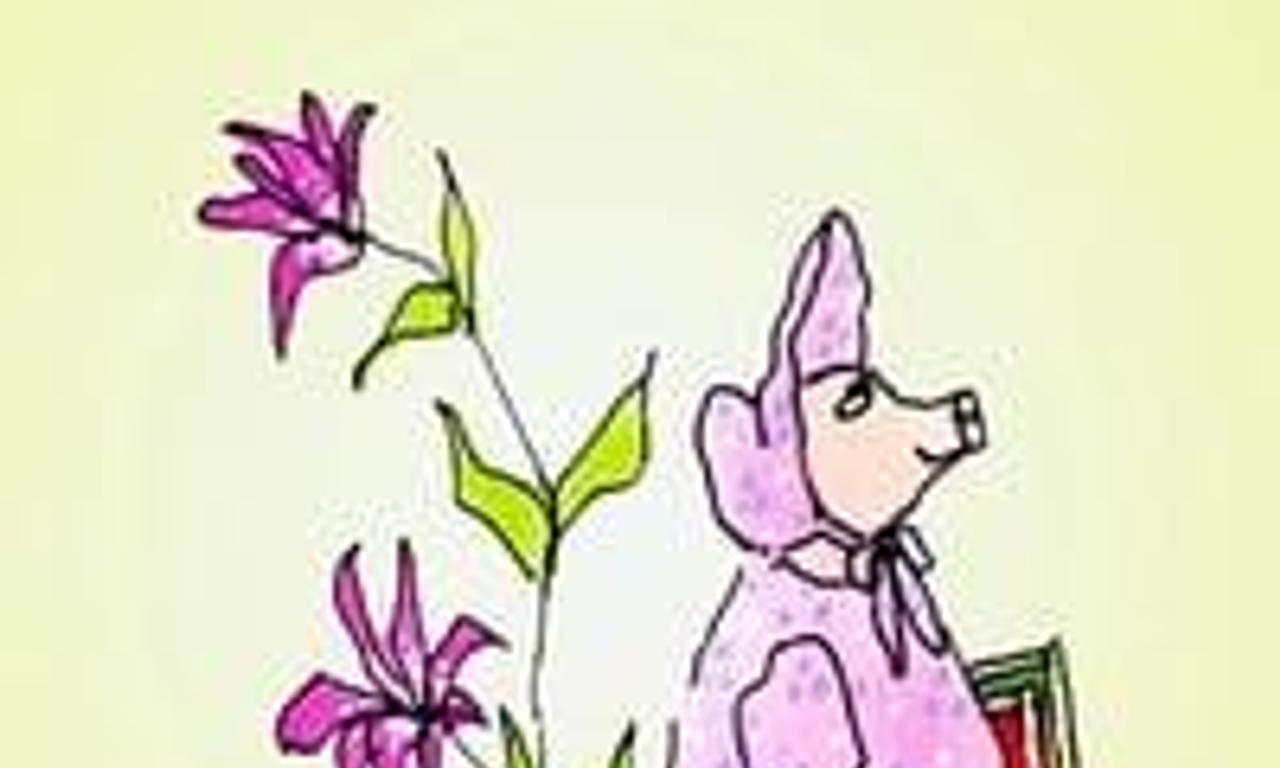 header image for The Amazing Bone