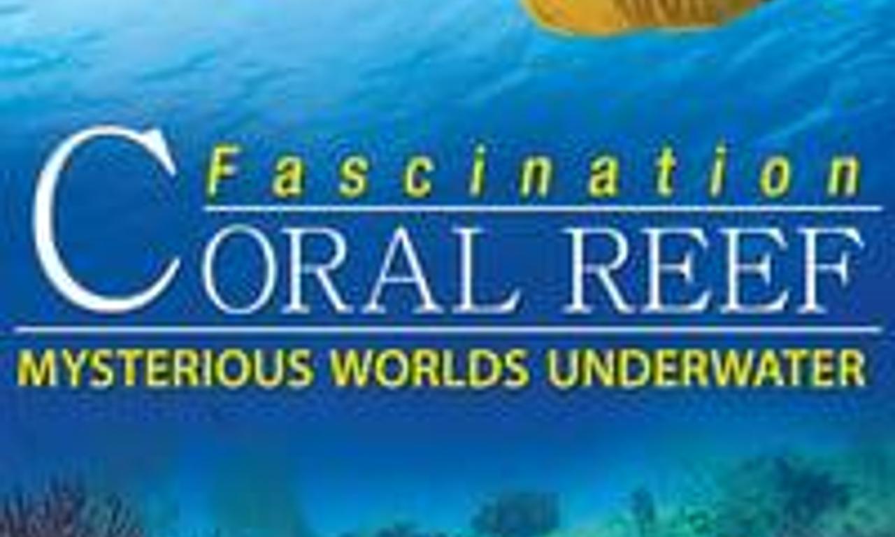 header image for Fascination Coral Reef: Mysterious Worlds Underwater