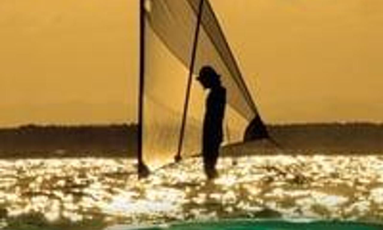 header image for Minds in the Water