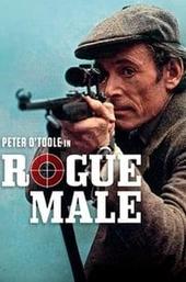 Rogue Male