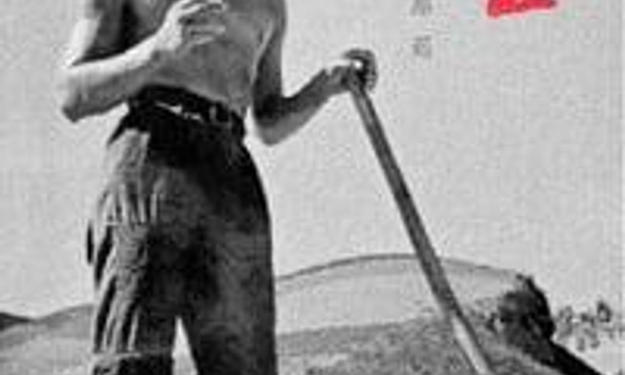 header image for Life