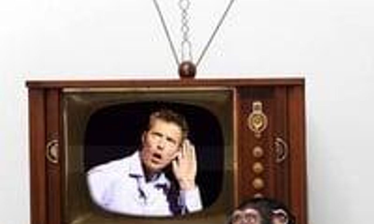 header image for Shane Mauss: Mating Season