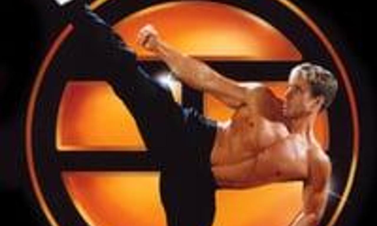 header image for White Tiger