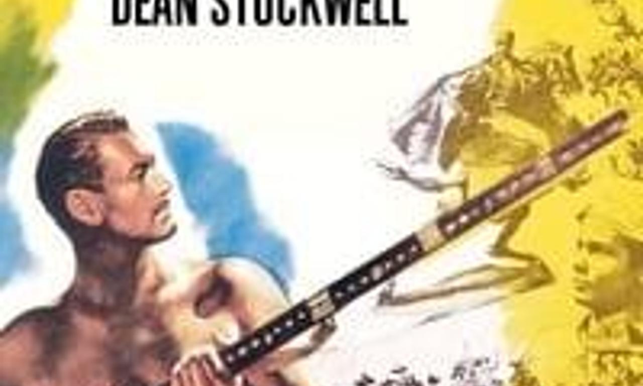 header image for Kim