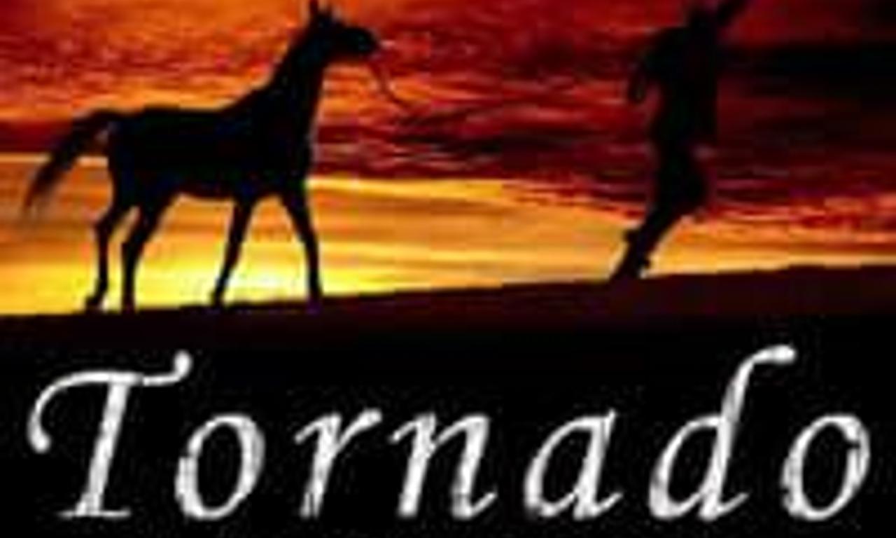 header image for Tornado and the Kalahari Horse Whisperer
