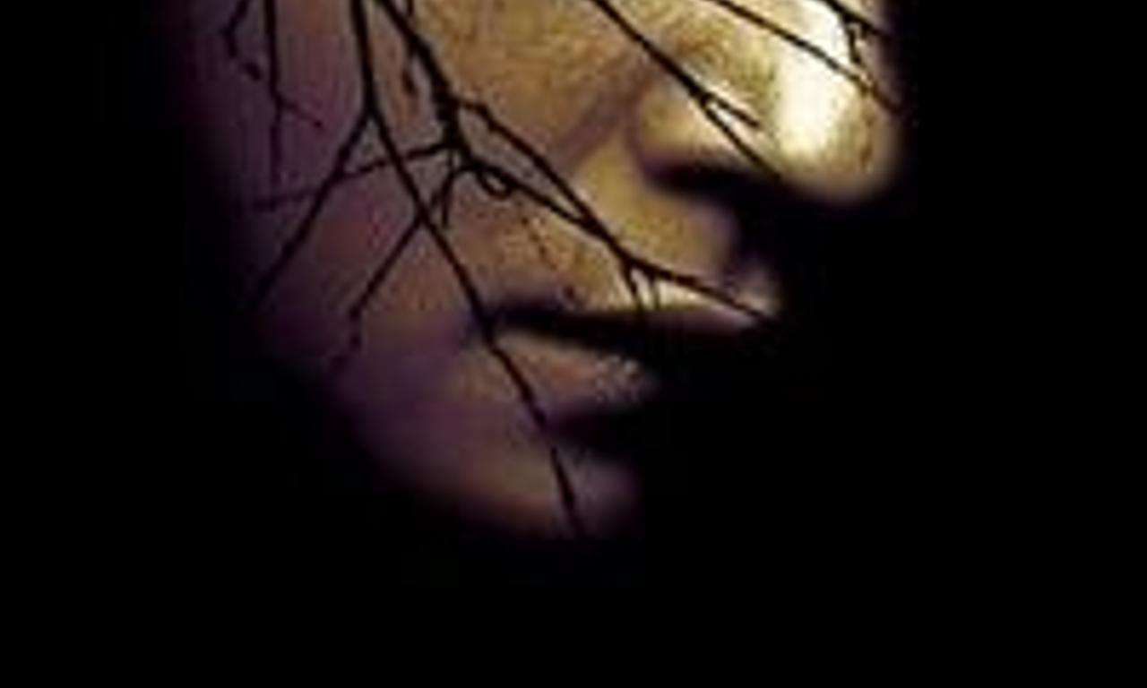 header image for Vaastu Shastra