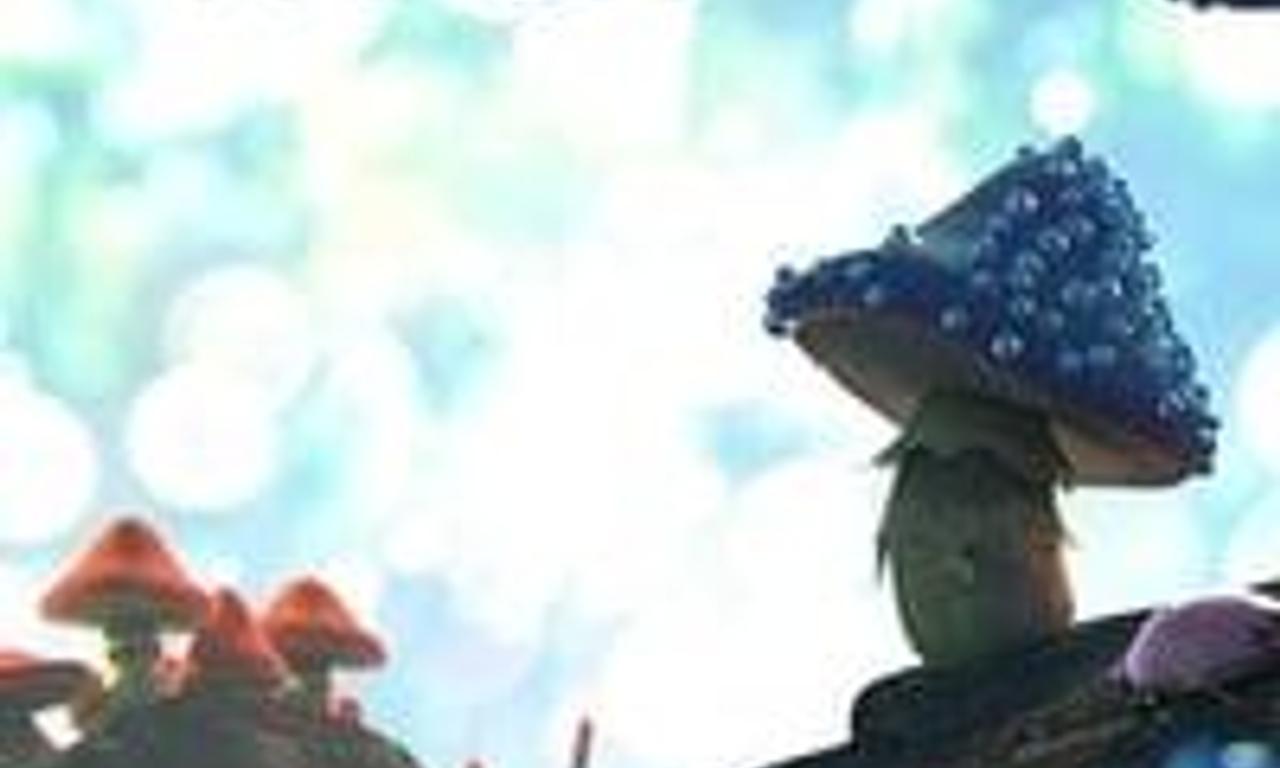 header image for The Wrong Rock