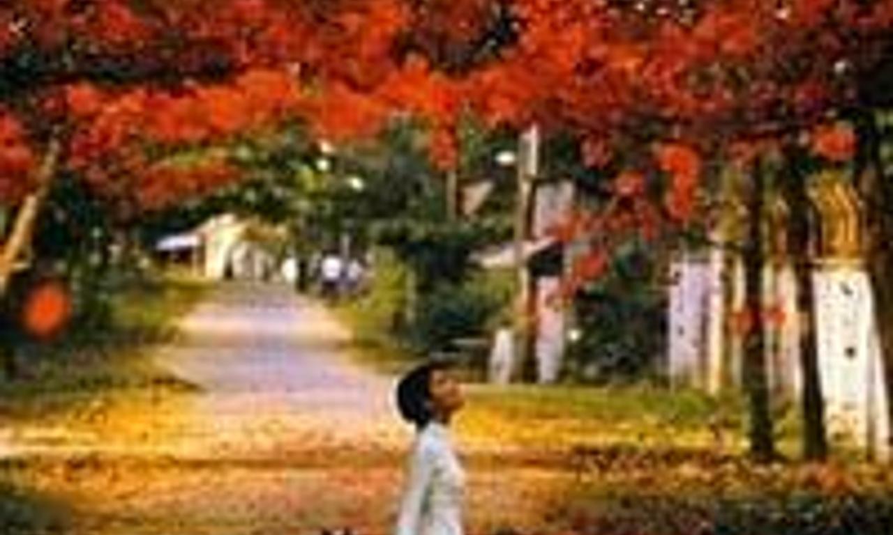 header image for Three Seasons