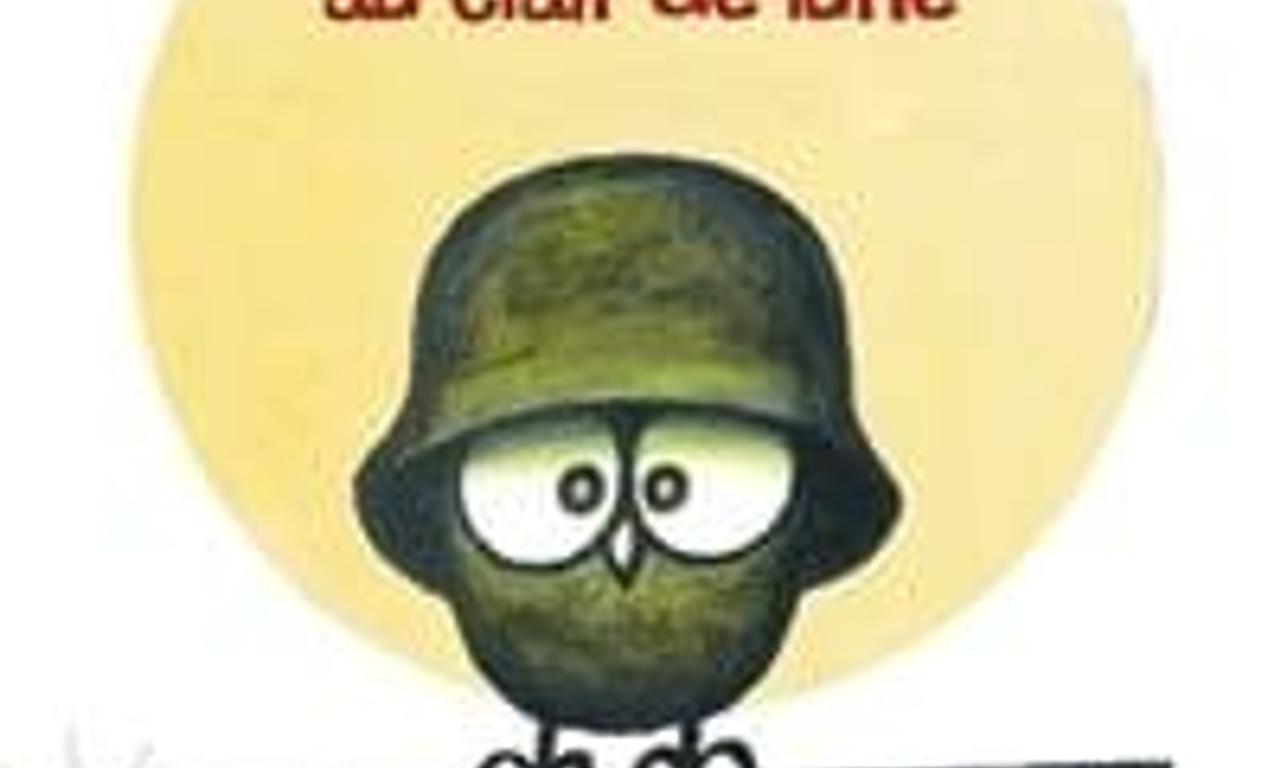 header image for The Seventh Company Outdoors