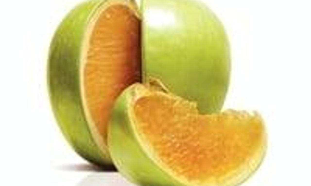 header image for Freakonomics