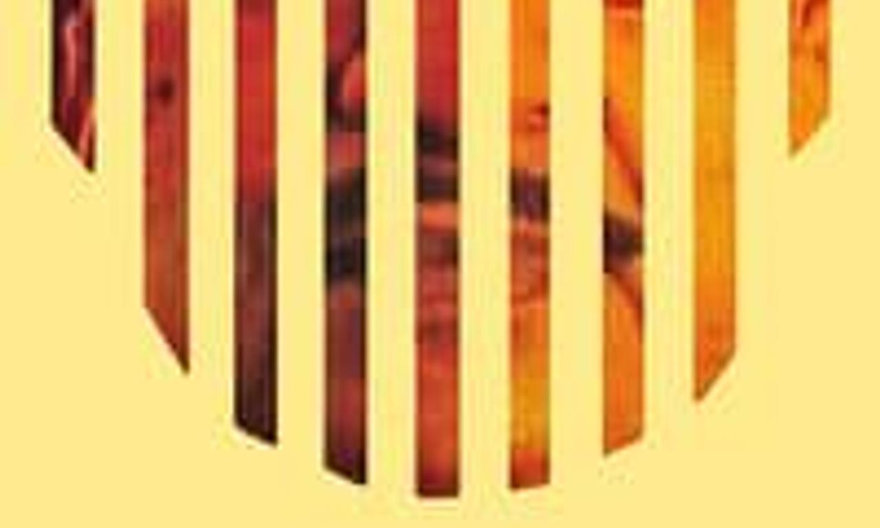 header image for The Stranger