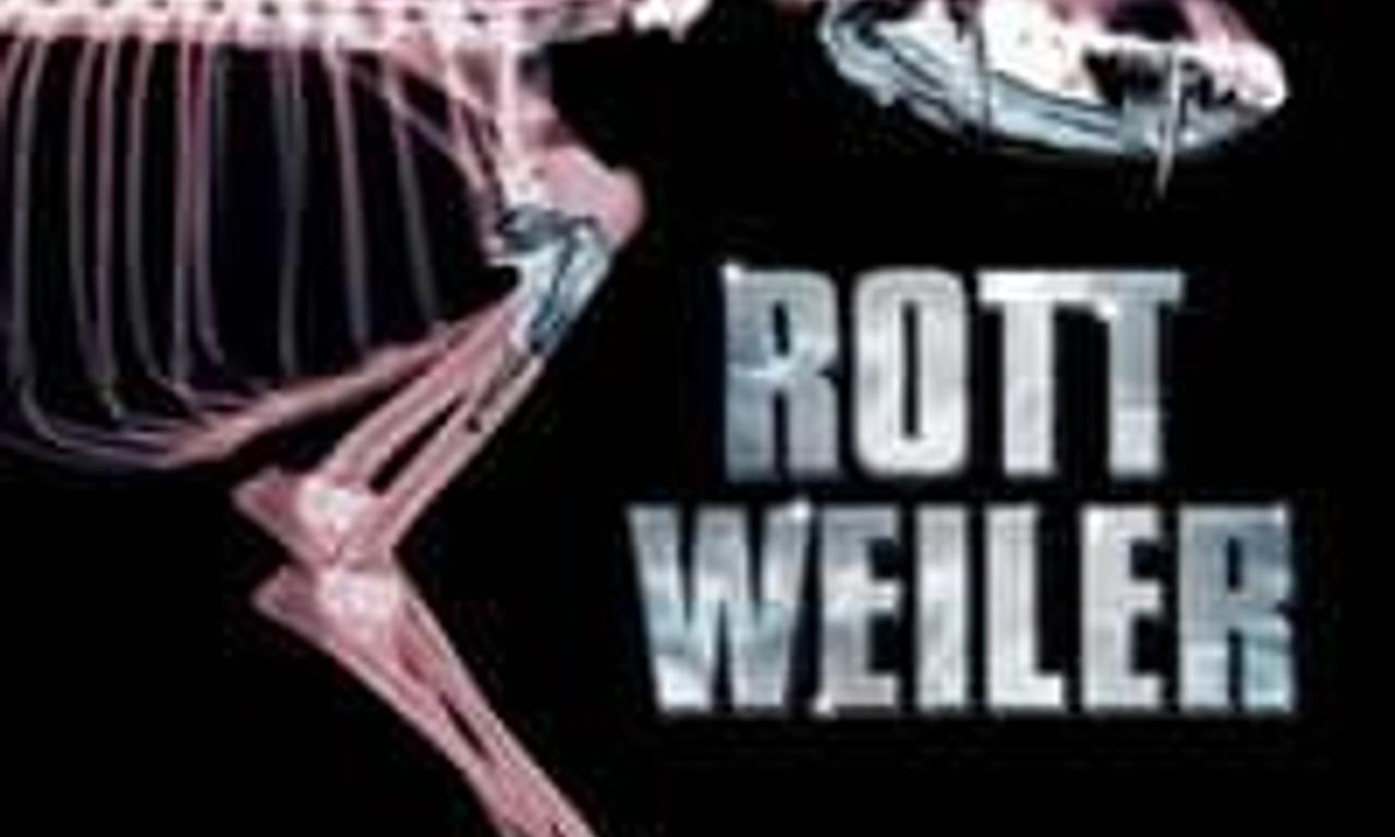 header image for Rottweiler