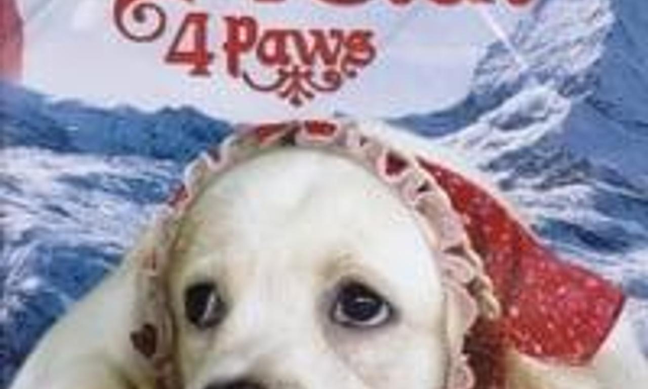 header image for Heidi 4 Paws