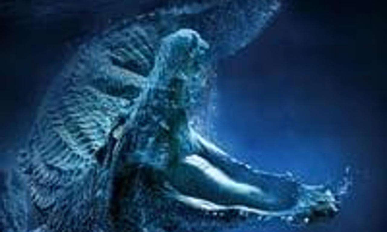 header image for Million Dollar Crocodile