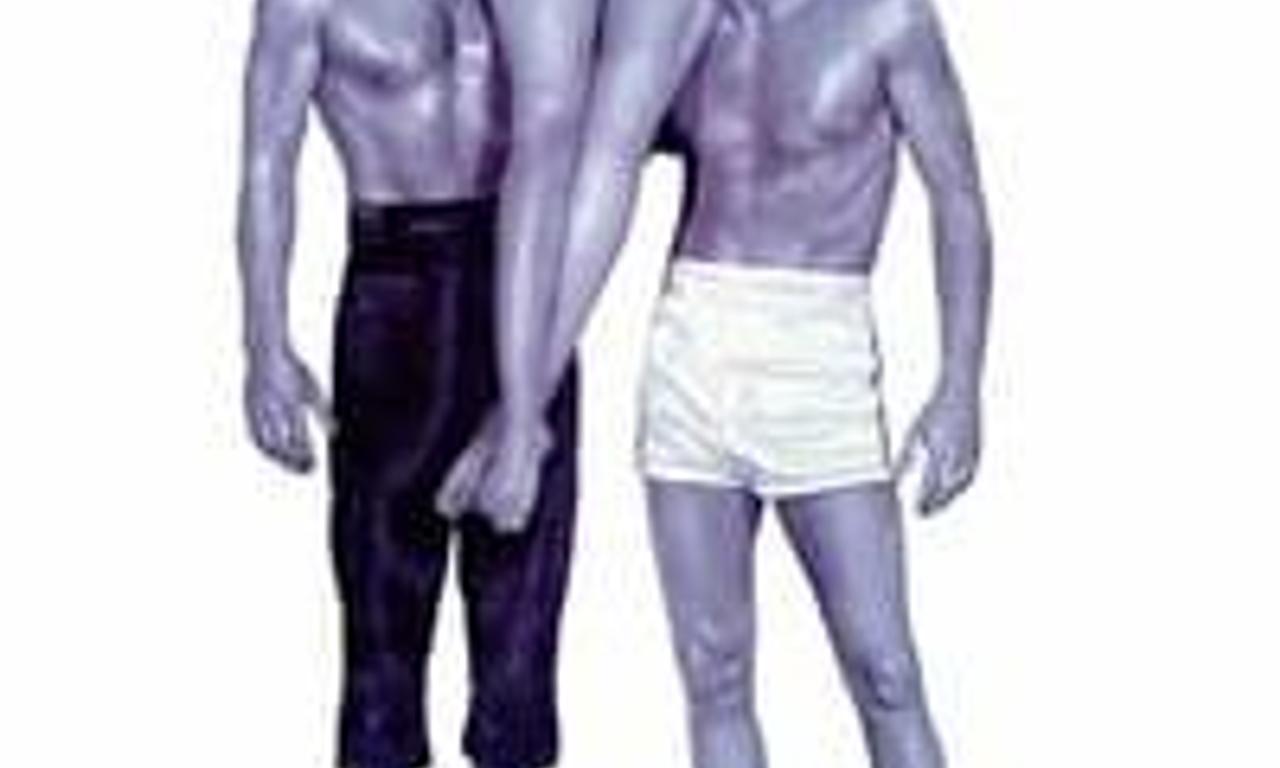 header image for Gidget