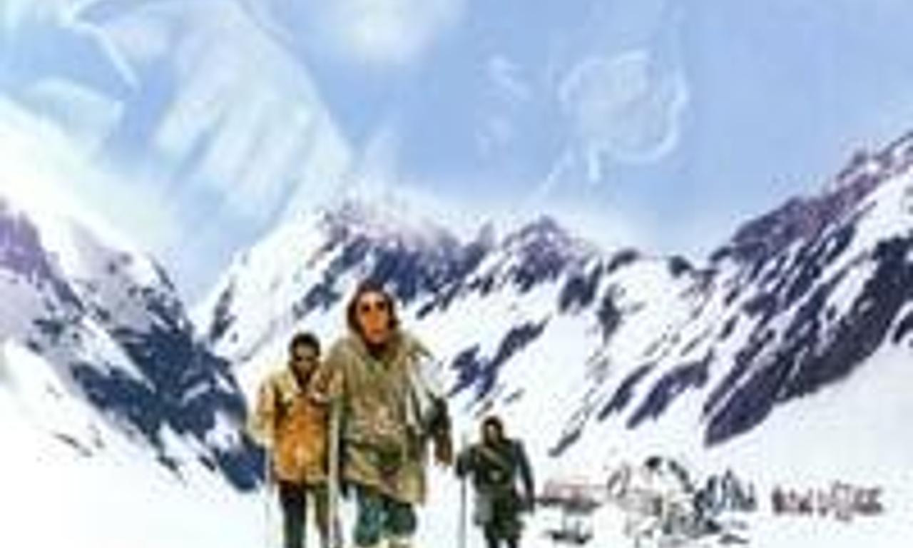 header image for Alive