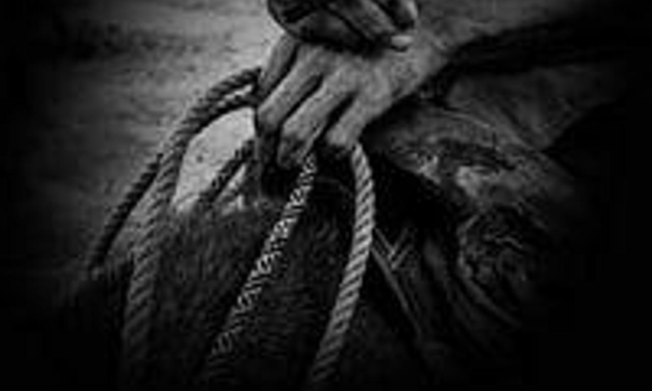 header image for Campesino