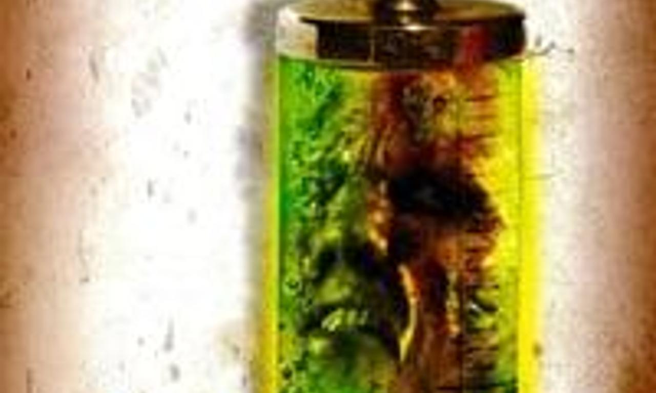 header image for The Rage