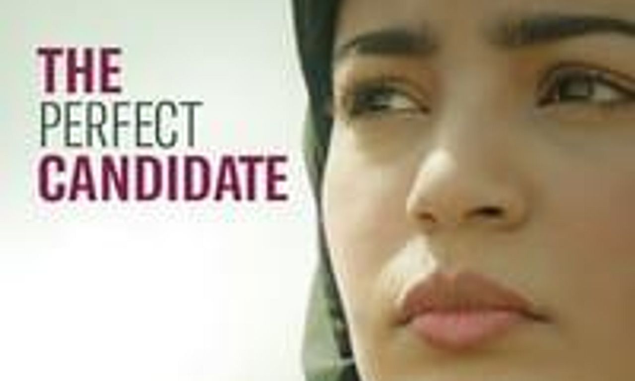 header image for The Perfect Candidate