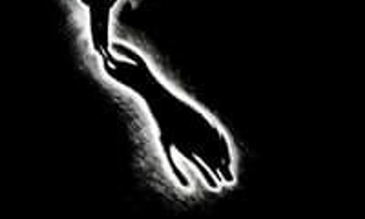 header image for The Omen