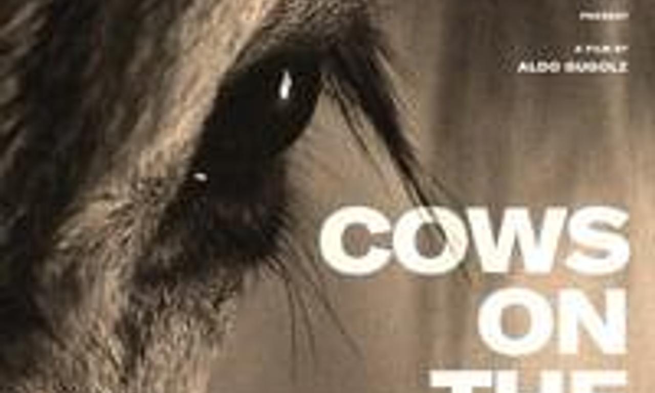 header image for Cows on the Roof