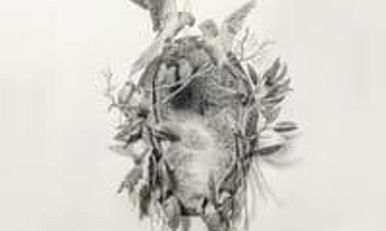 header image for Out of Norway