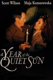 A Year of the Quiet Sun
