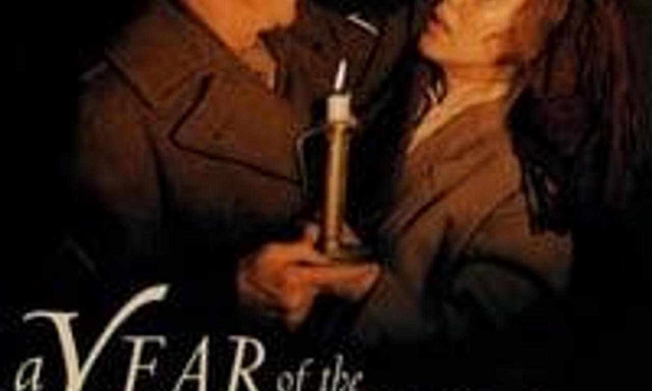 header image for A Year of the Quiet Sun