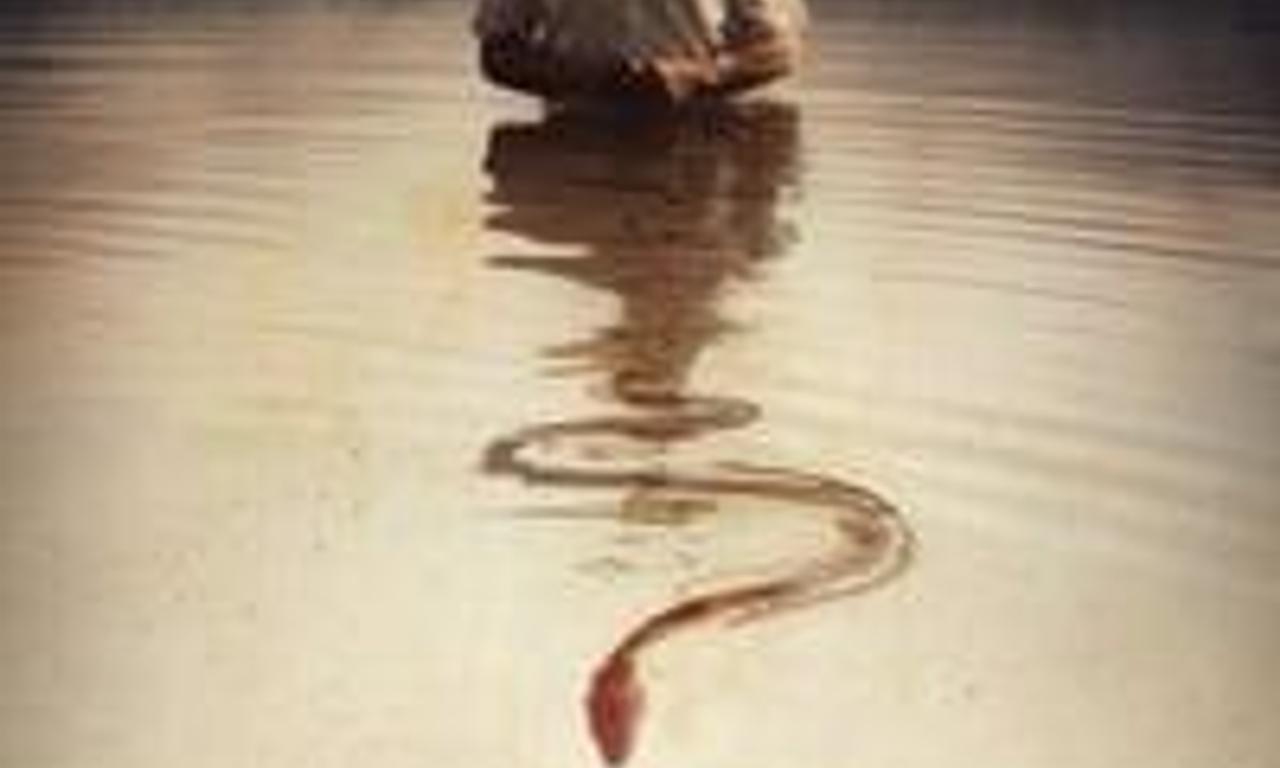 header image for Alabama Snake