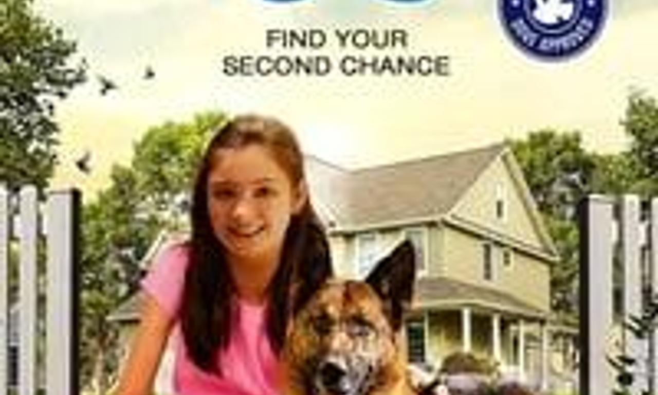 header image for Belong To Us