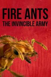 Fire Ants 3D: The Invincible Army