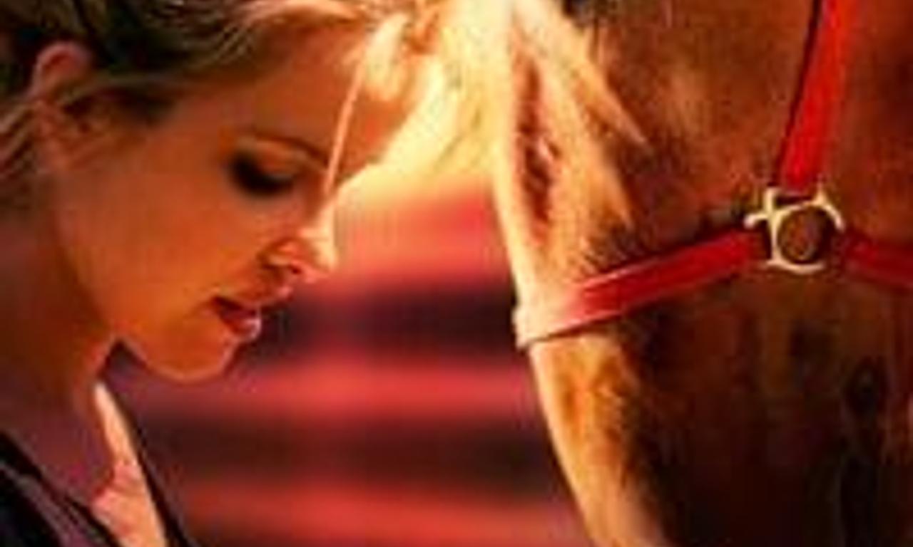 header image for Shannon's Rainbow