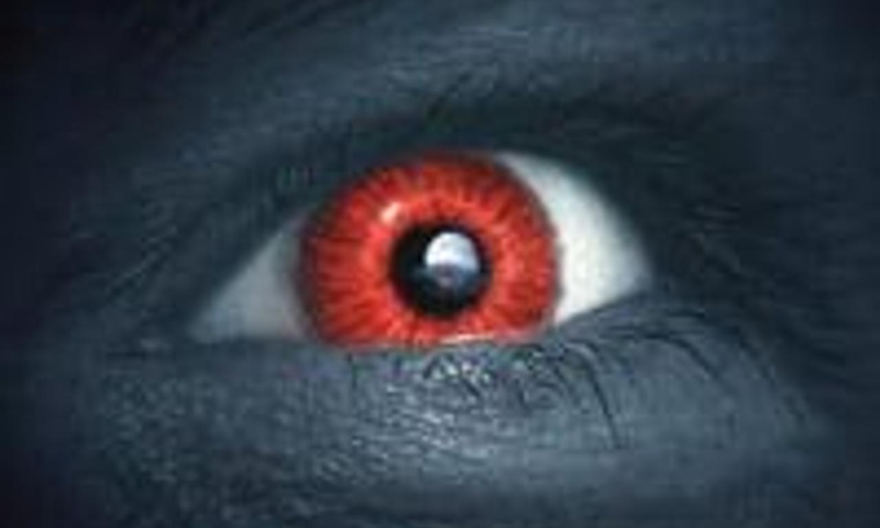 header image for Frostbitten